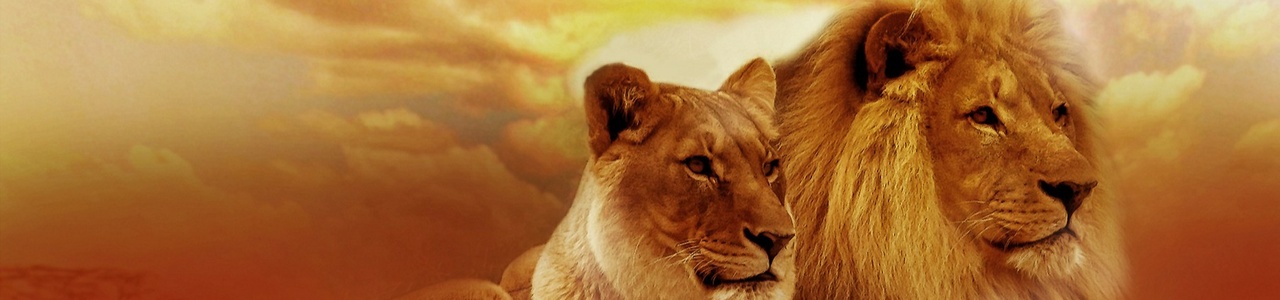lion symbolism in judaism